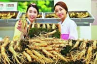 Hướng dẫn cách chế biến và bảo quản sâm tươi Hàn Quốc và những công dụng chính của sâm tươi