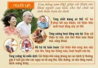 Hồng sâm Hàn Quốc là gì, những tác dụng và công dụng chính của hồng sâm Hàn Quốc với người lớn tuổi và người cần bồi bổ sức khỏe