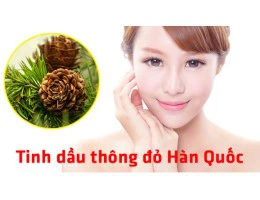 Tìm hiểu về tinh dầu thông đỏ Hàn Quốc, những công dụng, tác dụng tuyệt vời và cách sử dụng tốt cho sức khỏe