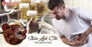 Tại sao nấm linh chi được khuyên dùng cho người bệnh gan?