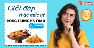 Giải đáp những câu hỏi thường gặp về đông trùng hạ thảo