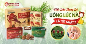 Nên uống tinh dầu thông đỏ vào lúc nào là tốt cho cơ thể?