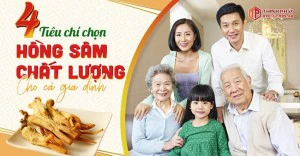4 tiêu chí chọn hồng sâm Hàn Quốc tăng sức đề kháng cho cả gia đình
