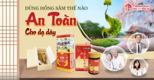 Cách sử dụng hồng sâm tốt cho sức khỏe, không hại dạ dày