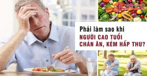 Chế độ dinh dưỡng giúp cải thiện chứng biếng ăn ở người cao tuổi