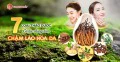 7 loại dược thảo giúp làm chậm lão hóa và trẻ hóa làn da