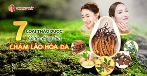 7 loại dược thảo giúp làm chậm lão hóa và trẻ hóa làn da