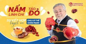 Nấm linh chi và táo đỏ - Sự kết hợp tuyệt vời cho cơ thể khỏe mạnh