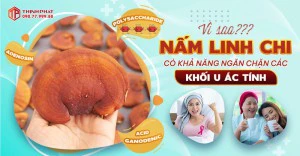 Vì sao nấm linh chi có khả năng phòng ngừa các tế bào ác tính?