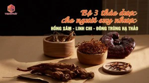 Bộ ba thảo dược “vàng” cho người suy nhược: hồng sâm, linh chi, đông trùng hạ thảo sâm, linh chi, đông trùng hạ thảo