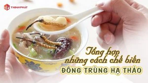10+ cách chế biến đông trùng hạ thảo bồi bổ sức khỏe, phòng ngừa bệnh tật