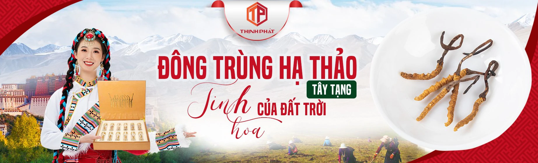 Đông trùng hạ thảo Việt Nam