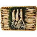 Nhân sâm tươi Hàn Quốc loại 20 - 40 củ 1 kg