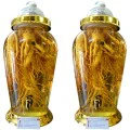 Bình Ngâm Nhân Sâm Hàn Quốc 12 Lít 5 Củ