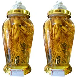 Bình Ngâm Nhân Sâm Hàn Quốc 12 Lít 5 Củ