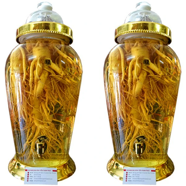 Bình Ngâm Nhân Sâm Hàn Quốc 12 Lít 5 Củ