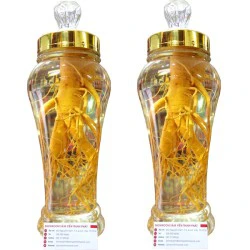 Bình Ngâm Nhân Sâm Hàn Quốc 2,4 Lít 1 Củ Lớn