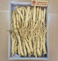 Nhân sâm tươi Hàn Quốc loại 1 nhập khẩu kg 30-40 củ