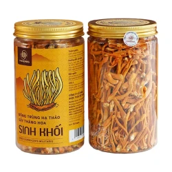 Nấm đông trùng hạ thảo sợi khô lọ 50g - Trà đông trùng hạ thảo sợi khô