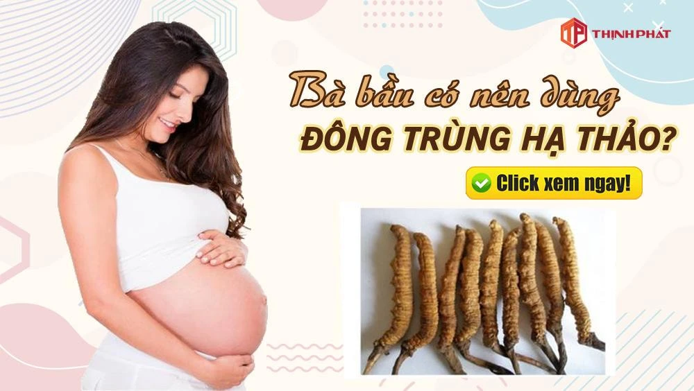 Bà bầu có nên dùng đông trùng hạ thảo?