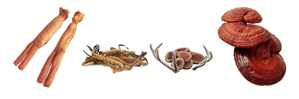 Các loại thảo dược quý khi được kết hợp cùng nhau sẽ mang đến công dụng bổ trợ tối đa trong chăm sóc sức khỏe Các loại thảo dược quý khi được kết hợp cùng nhau sẽ mang đến công dụng bổ trợ tối đa trong chăm sóc sức khỏe