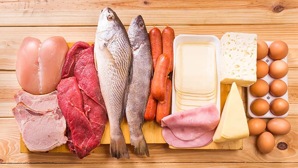 Protein đóng vai trò quan trọng với hoạt động của não bộ Protein đóng vai trò quan trọng với hoạt động của não bộ