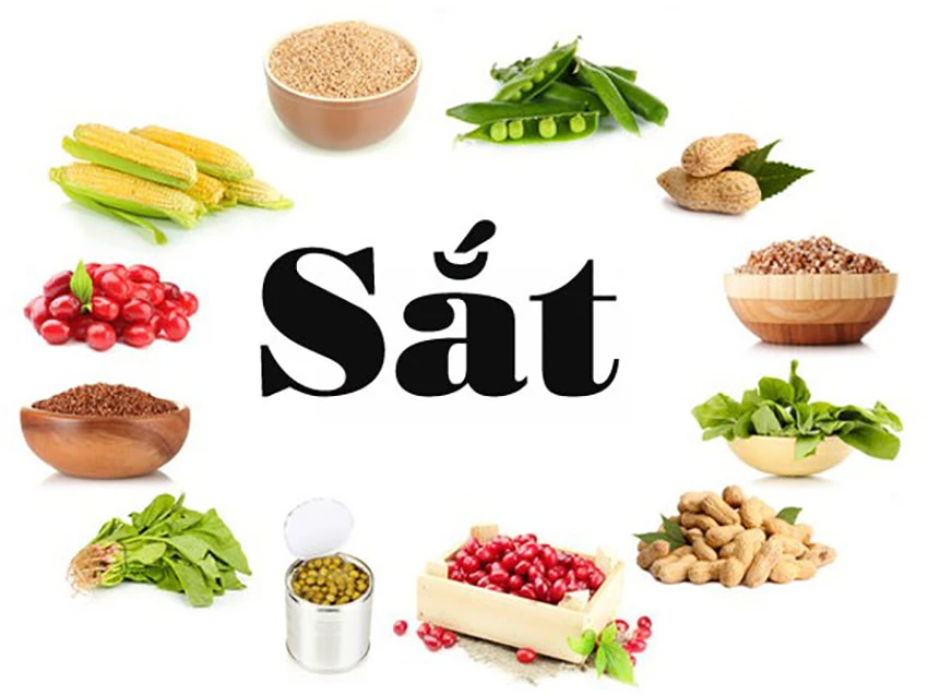 Thiếu máu ảnh hưởng đến sự phát triển trí nhớ và kết quả học tập của trẻ Thiếu máu ảnh hưởng đến sự phát triển trí nhớ và kết quả học tập của trẻ