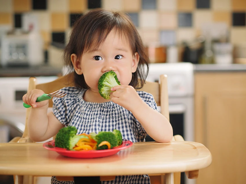 Dinh dưỡng có ảnh hưởng lớn đến sự thông minh của trẻ Dinh dưỡng có ảnh hưởng lớn đến sự thông minh của trẻ