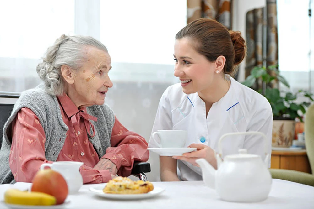 Người cao tuổi có thể ăn yến sào thường xuyên để tăng cường sức khỏe Người cao tuổi có thể ăn yến sào thường xuyên để tăng cường sức khỏe