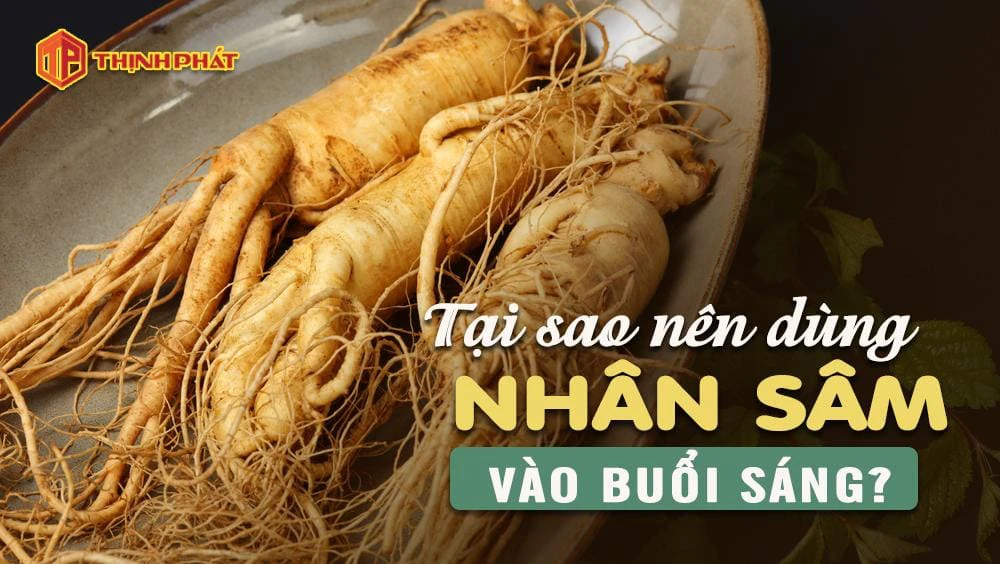 Tại sao nên dùng nhân sâm vào buổi sáng Tại sao nên dùng nhân sâm vào buổi sáng