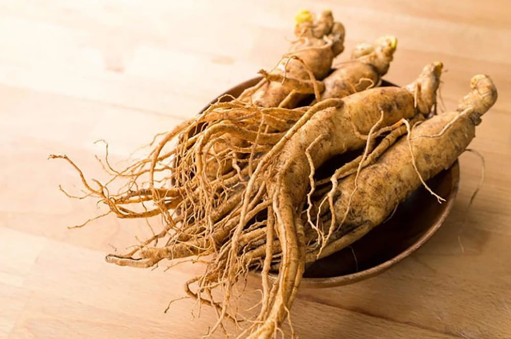 Nhân sâm là dược liệu quý rất tốt cho sức khỏe đã được sử dụng từ hàng ngàn năm nay Nhân sâm là dược liệu quý rất tốt cho sức khỏe đã được sử dụng từ hàng ngàn năm nay