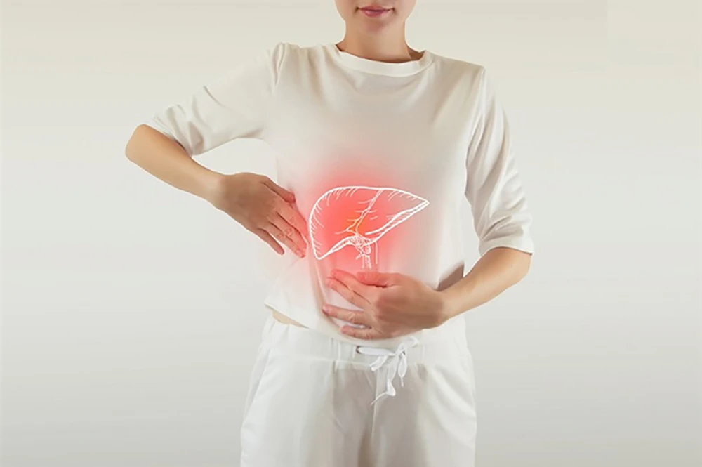 Một trong những công dụng nổi bật của nấm lim xanh là hỗ trợ cải thiện các bệnh về gan Một trong những công dụng nổi bật của nấm lim xanh là hỗ trợ cải thiện các bệnh về gan