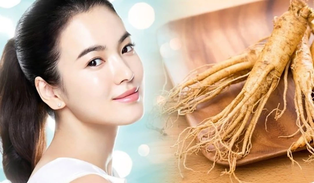 Nhân sâm là thảo dược quý mang đến nhiều lợi ích cho sức khỏe và sắc đẹp