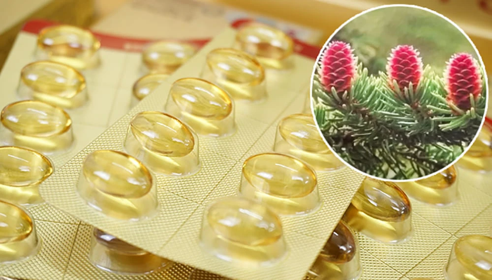 Tinh dầu thông đỏ được chiết xuất từ lá của những cây thông đỏ trên 100 tuổi