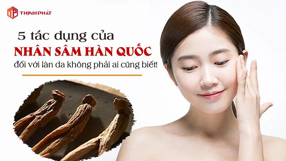 5 tác dụng của nhân sâm Hàn Quốc đối với làn da không phải ai cũng biết 5 tác dụng của nhân sâm Hàn Quốc đối với làn da không phải ai cũng biết