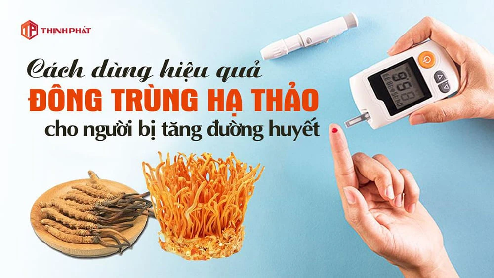 Cách dùng đông trùng hạ thảo cho người bị tăng đường huyết Cách dùng đông trùng hạ thảo cho người bị tăng đường huyết