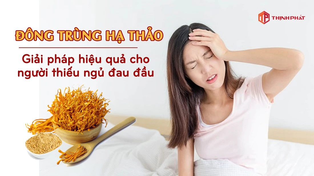 Đông trùng hạ thảo - Giải pháp hiệu quả cho người thiếu ngủ đau đầu Đông trùng hạ thảo - Giải pháp hiệu quả cho người thiếu ngủ đau đầu