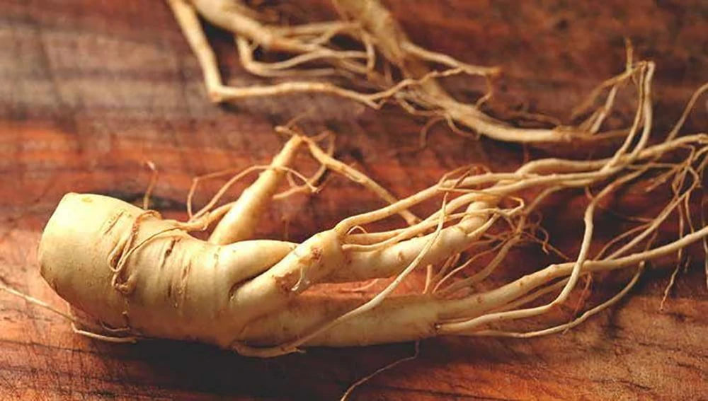 Ginsenoside là hoạt chất được tìm thấy trong nhân sâm hàn quốc và các chế phẩm của nó Ginsenoside là hoạt chất được tìm thấy trong nhân sâm hàn quốc và các chế phẩm của nó