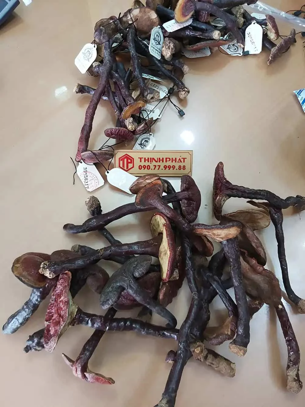 Trà nấm lim xanh hỗ trợ cải thiện các loại u bướu Trà nấm lim xanh hỗ trợ cải thiện các loại u bướu