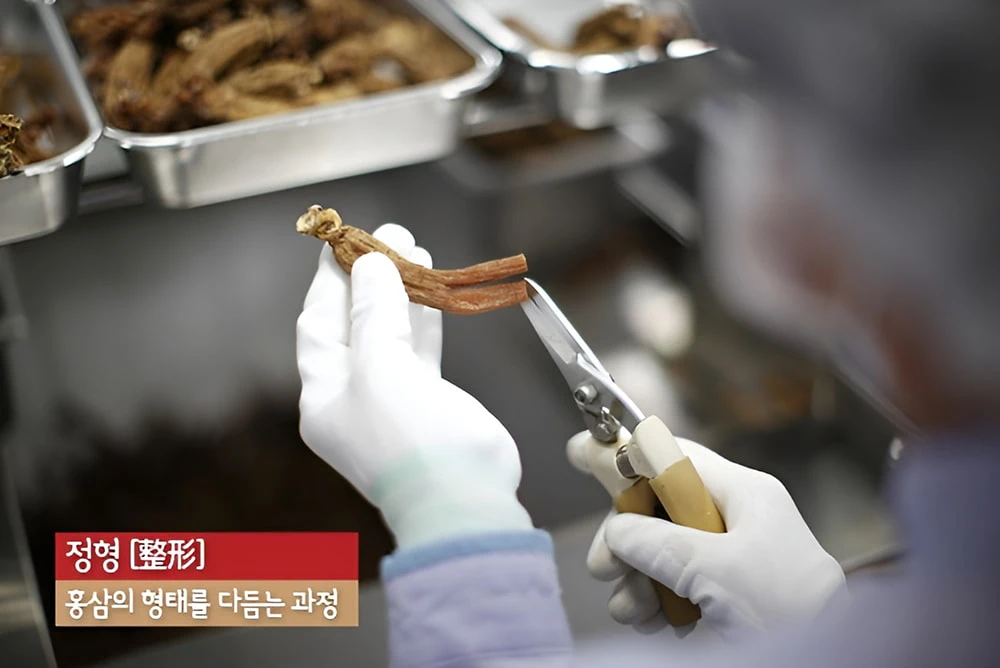 Cao hồng sâm có quy trình chế biến phức tạp từ hồng sâm củ khô Cao hồng sâm có quy trình chế biến phức tạp từ hồng sâm củ khô