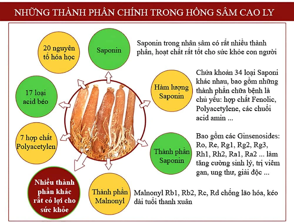 Những thành phần chính có trong hồng sâm Hàn Quốc