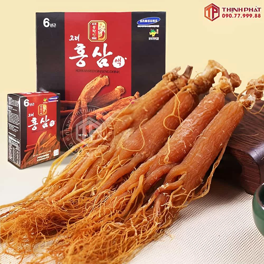 Saponin trong hồng sâm giúp ổn định huyết áp, giảm cholesterol trong máu