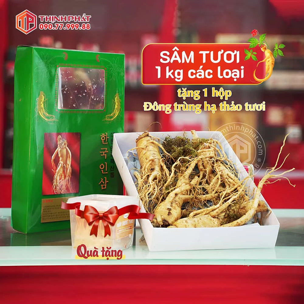 Hiện đang diễn ra chương trình đặc biệt: MUA 1KG SÂM TƯƠI bất kỳ tặng 1 hộp Đông trùng hạ thảo tươi