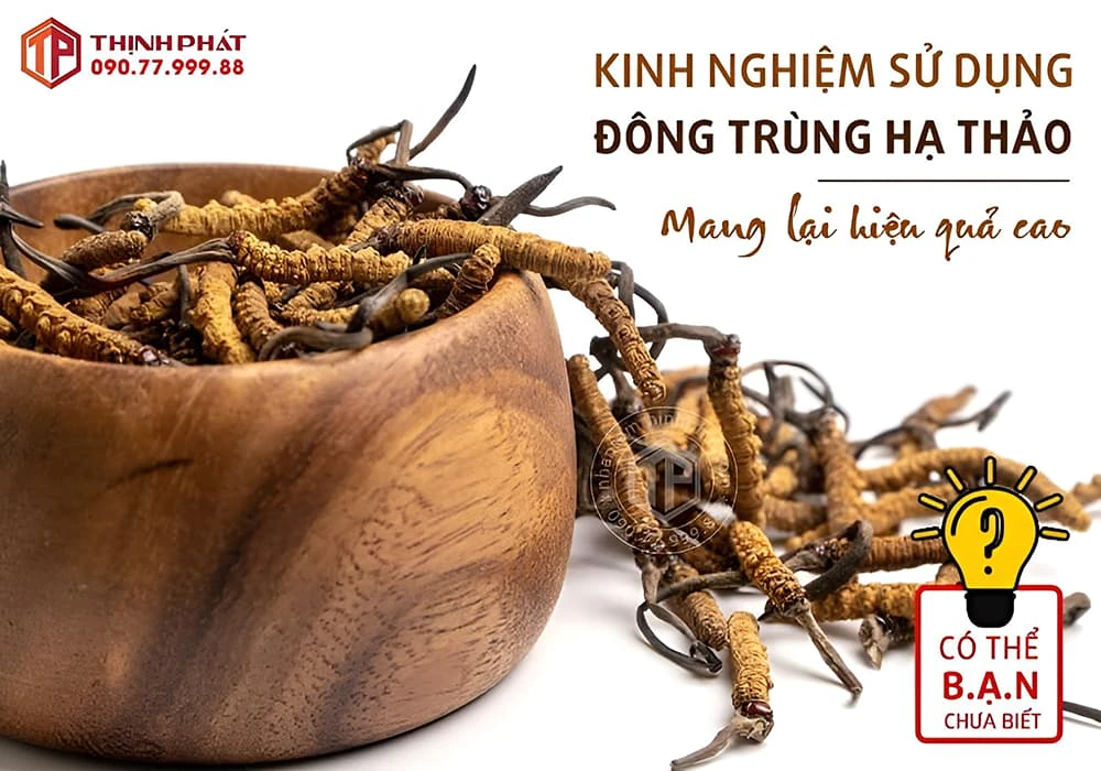 Kinh nghiệm sử dụng đông trùng hạ thảo mang lại hiệu quả cao