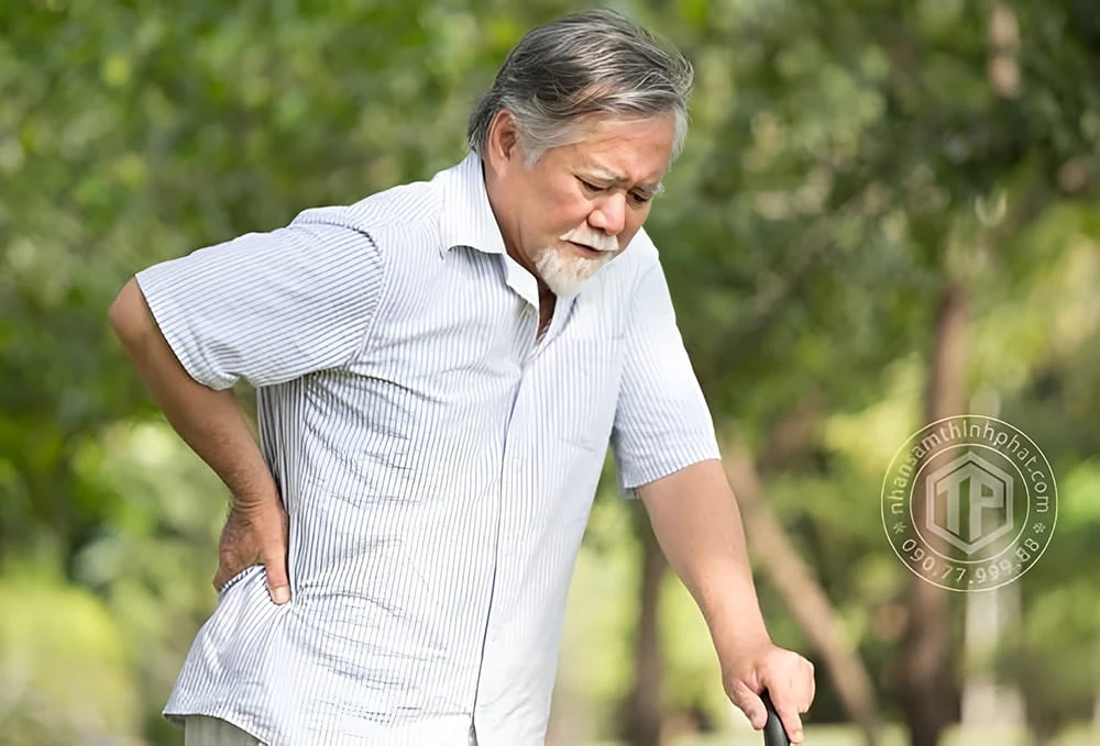 Đông trùng hạ thảo rất tốt cho người cao tuổi, người suy nhược cơ thể