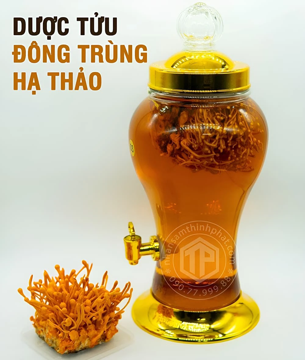 Dược tửu đông trùng hạ thảo giúp làm ấm phổi, cường tráng cơ thể