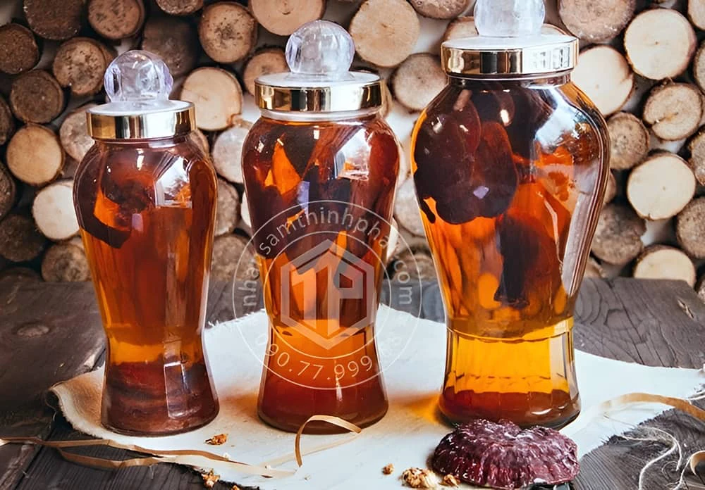 Dược tửu ngâm nấm linh chi Hàn Quốc Dược tửu ngâm nấm linh chi Hàn Quốc
