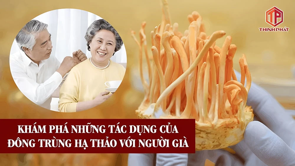 Khám phá những tác dụng của đông trùng hạ thảo đối với người già
