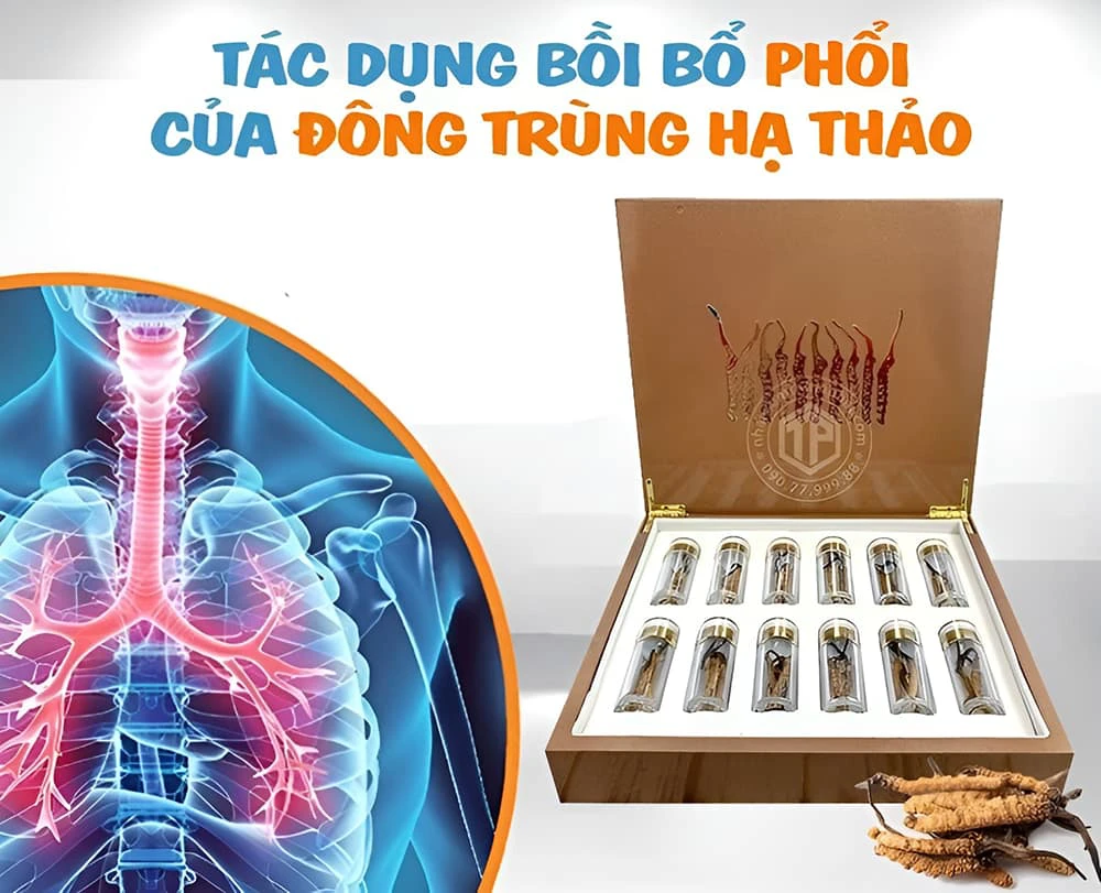 Người già có thể dùng đông trùng hạ thảo để bồi bổ phổi
