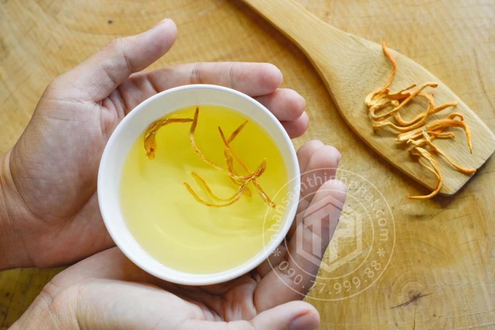 Trà đông trùng hạ thảo giúp làm ấm phổi, làm loãng đờm